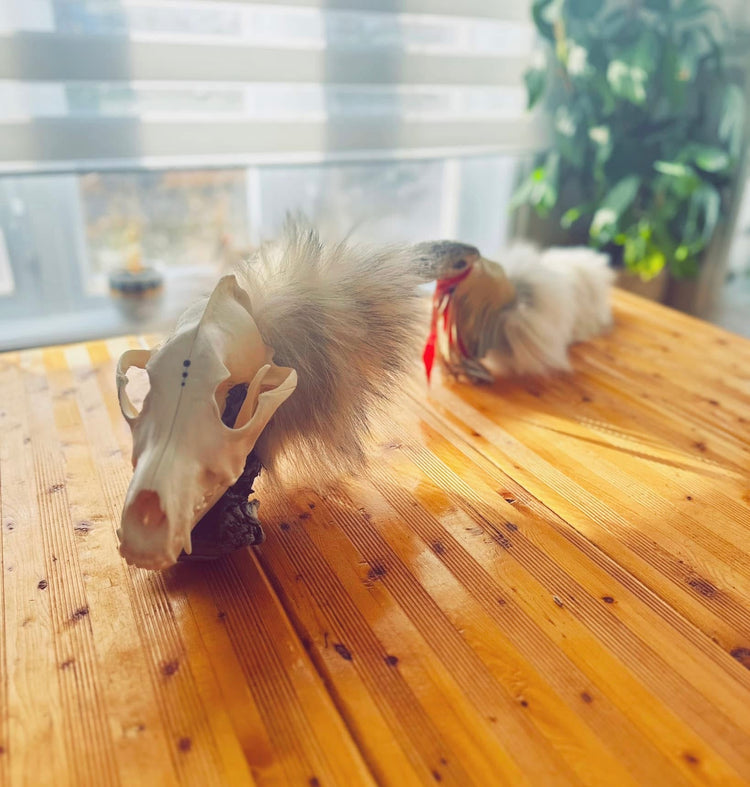 Œuvres d’exception