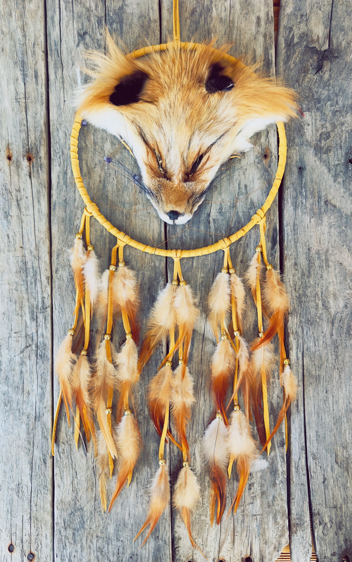 Capteur de rêve avec veritable tete de renard