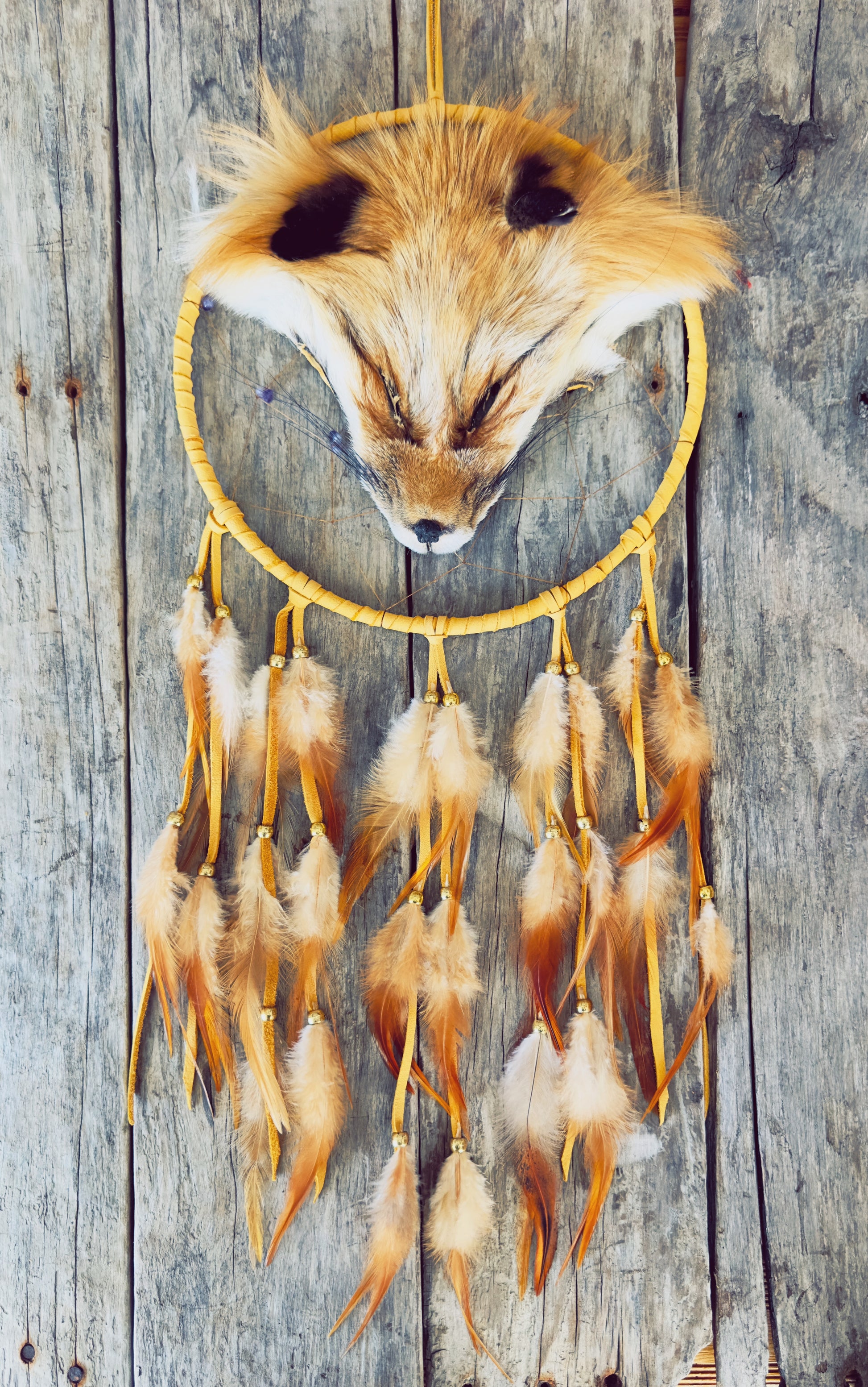 Capteur de rêve avec veritable tete de renard