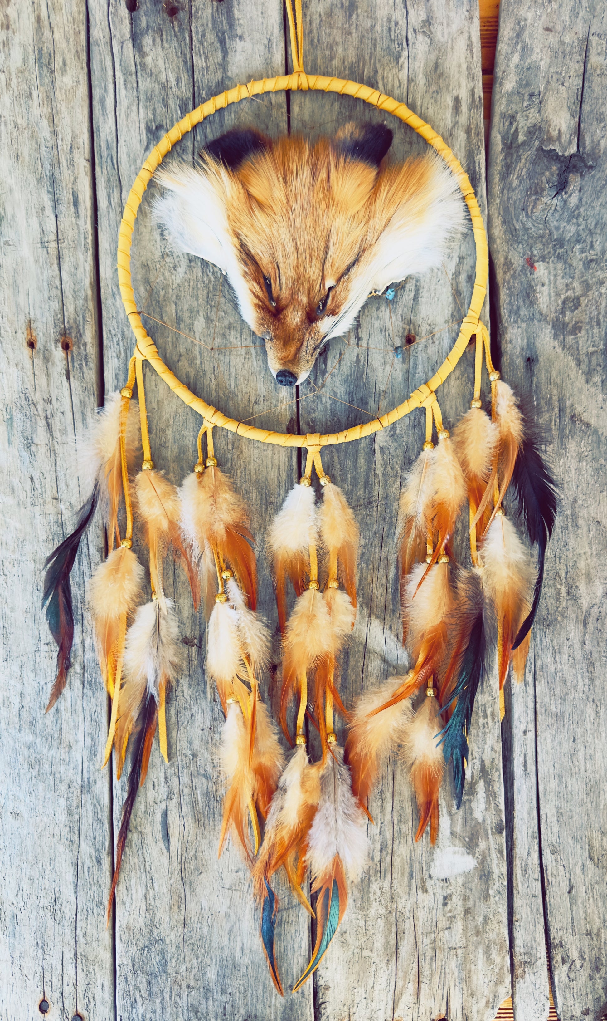 Capteurs de rêves avec tête de renard véritable
