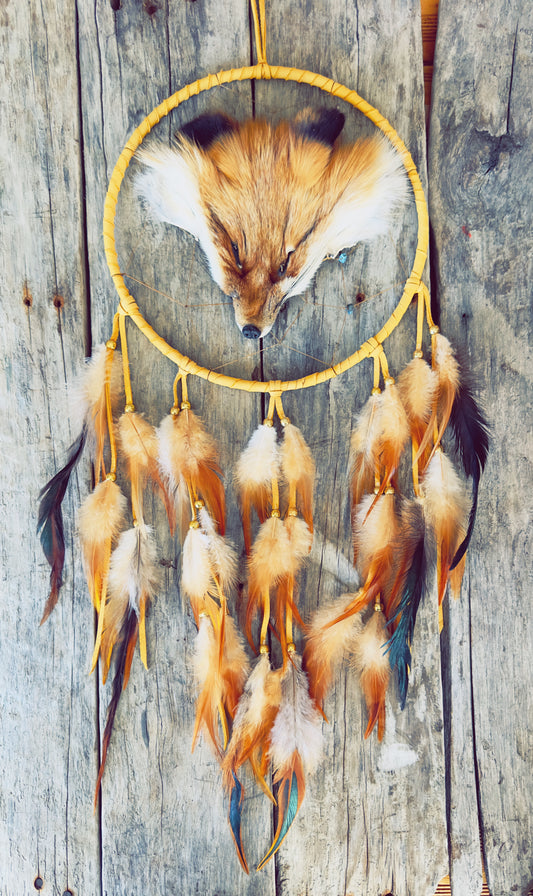 Capteurs de rêves avec tête de renard véritable