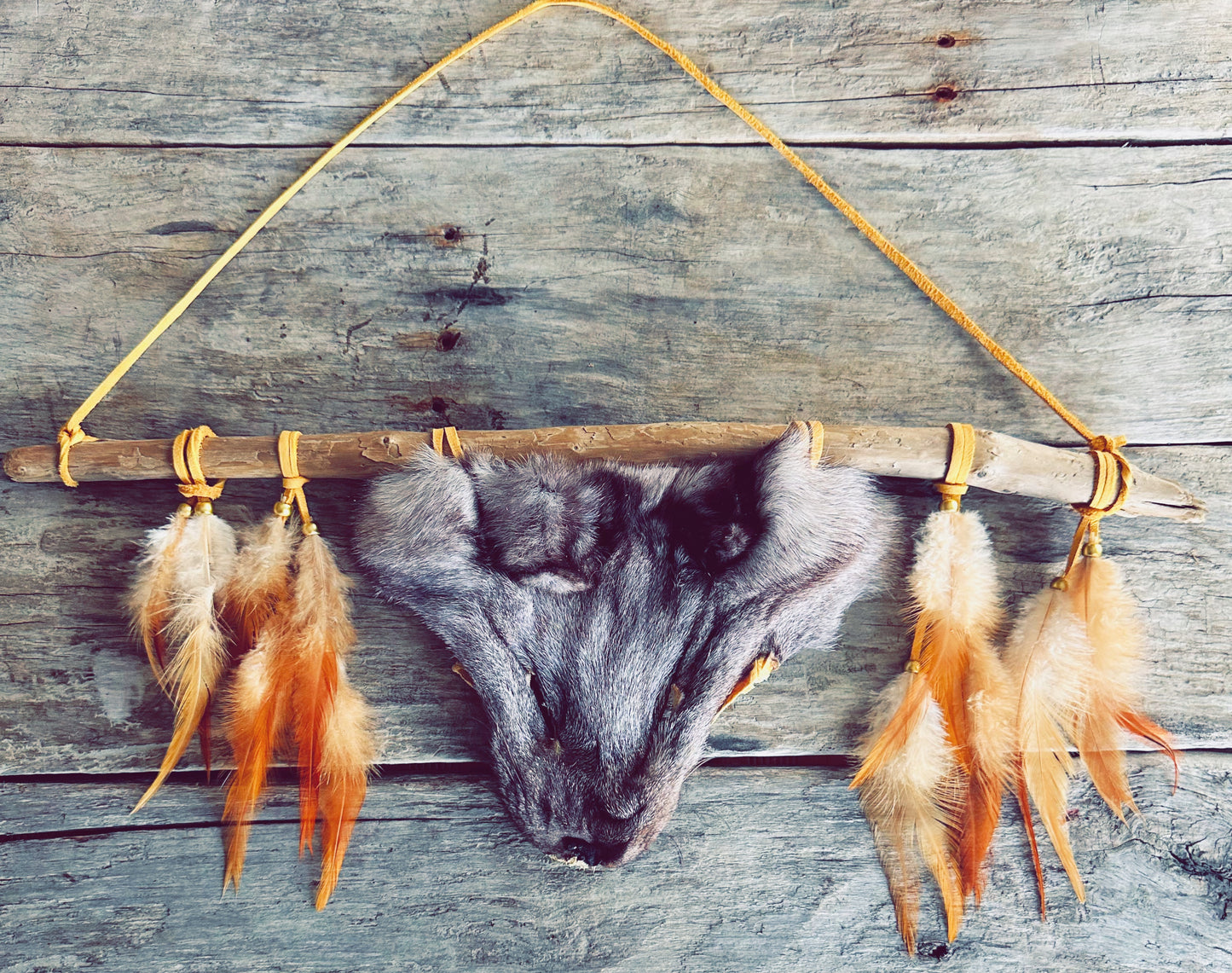 Artisanat autochtone : décoration en bois flotté, plumes naturelles et tête de renard