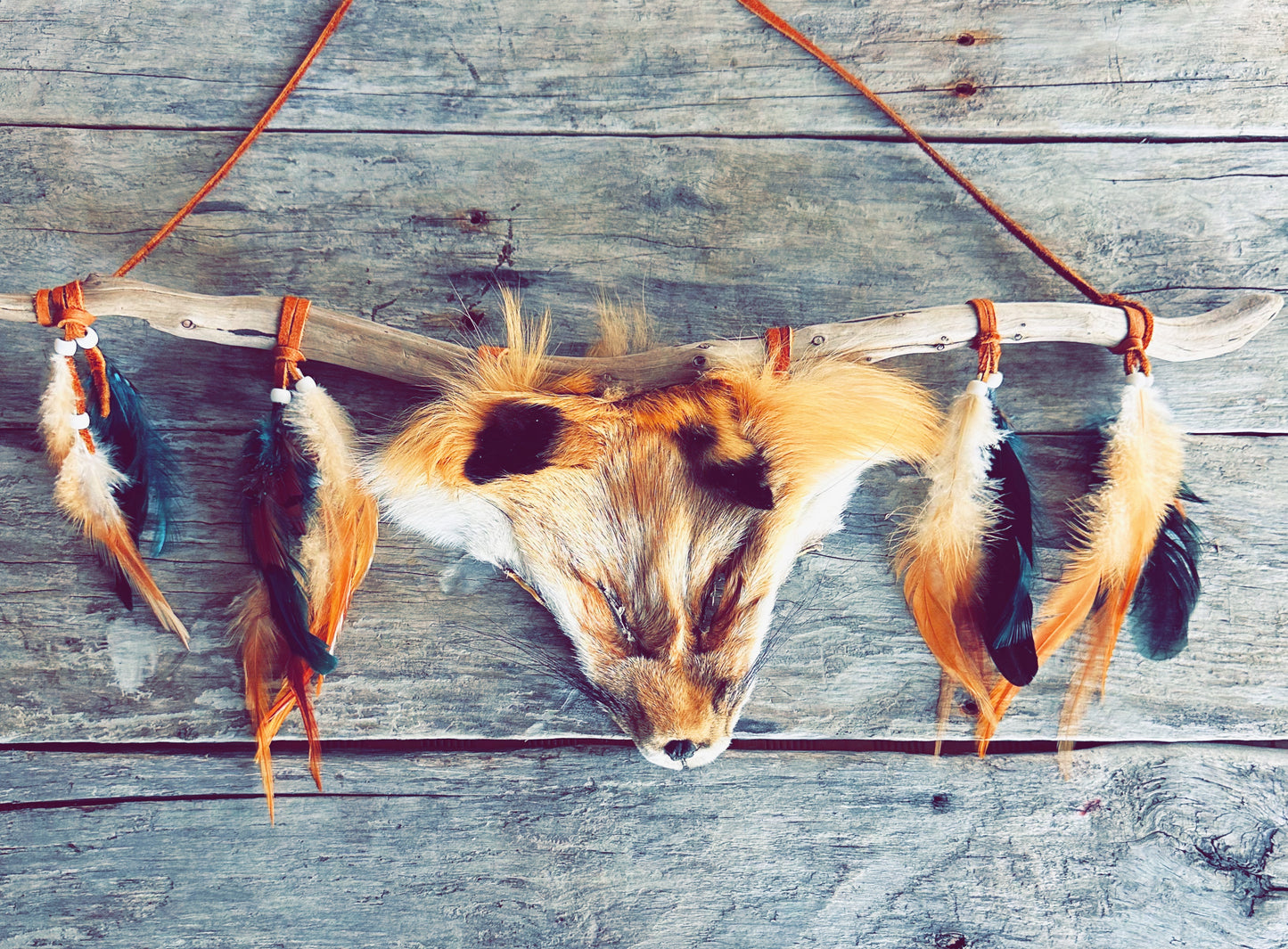 Symbole du renard dans la culture autochtone