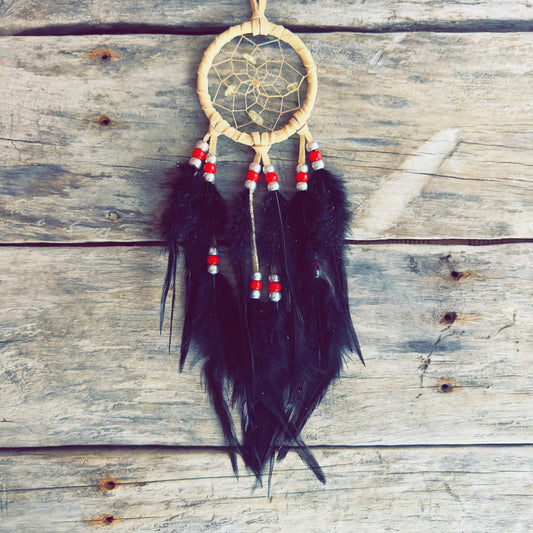 Symbolic Indigenous dreamcatcher representing protection and balance