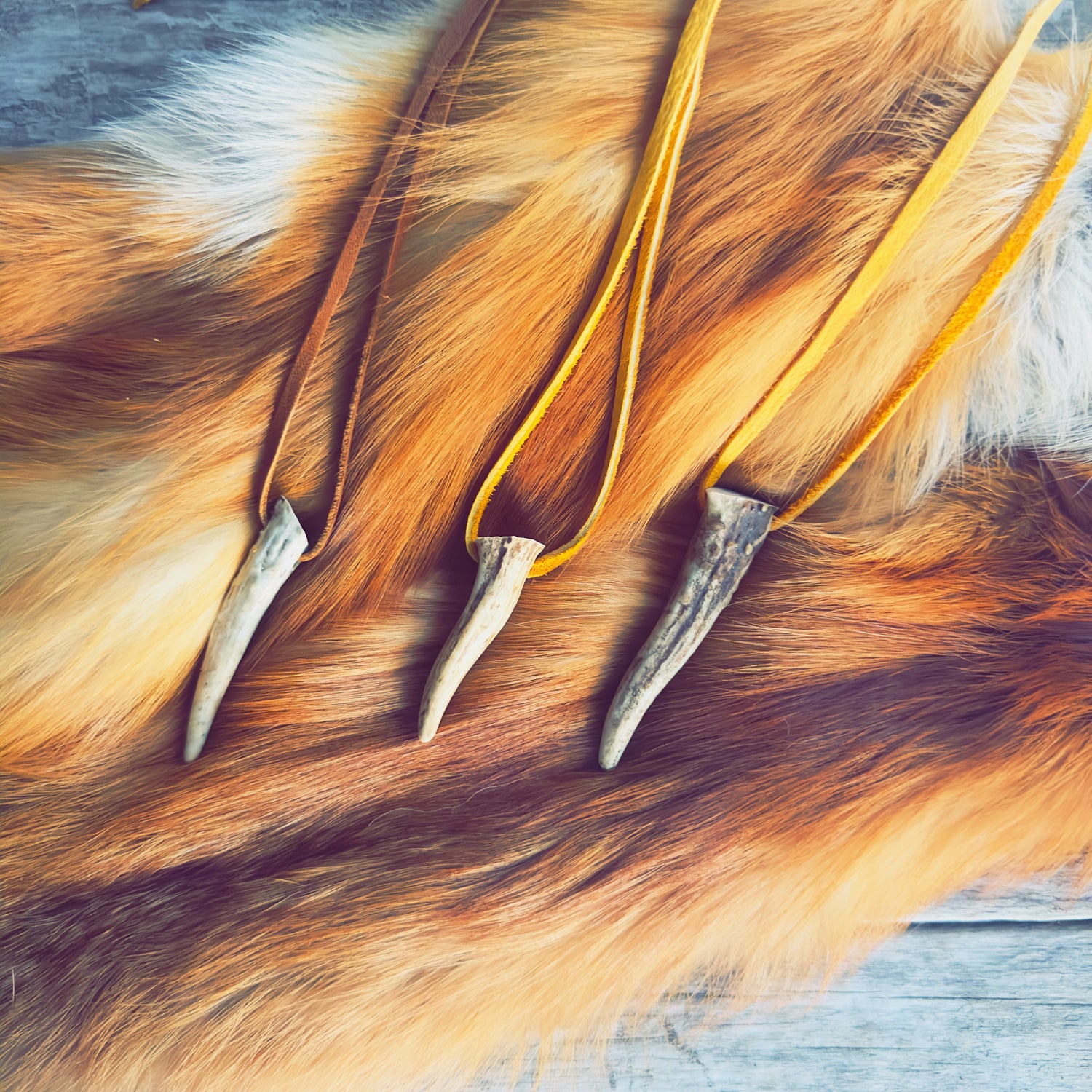 Colliers autochtones