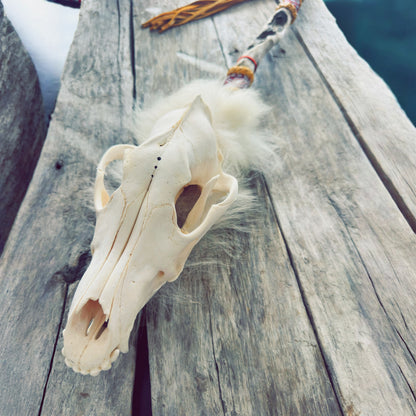 Guardian of the White Wolf – ceremonial wolf skull staff – exceptional artwork