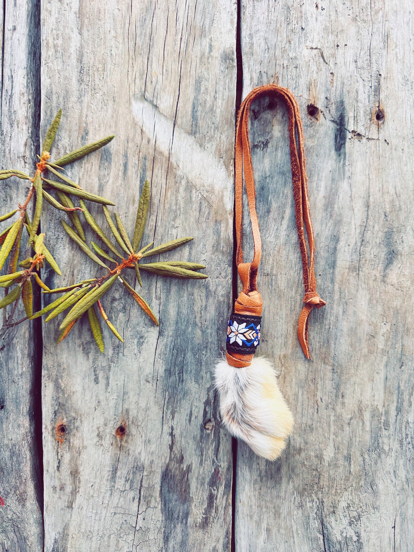 Amulette en patte de lièvre : symbole de chance et traditions anciennes
