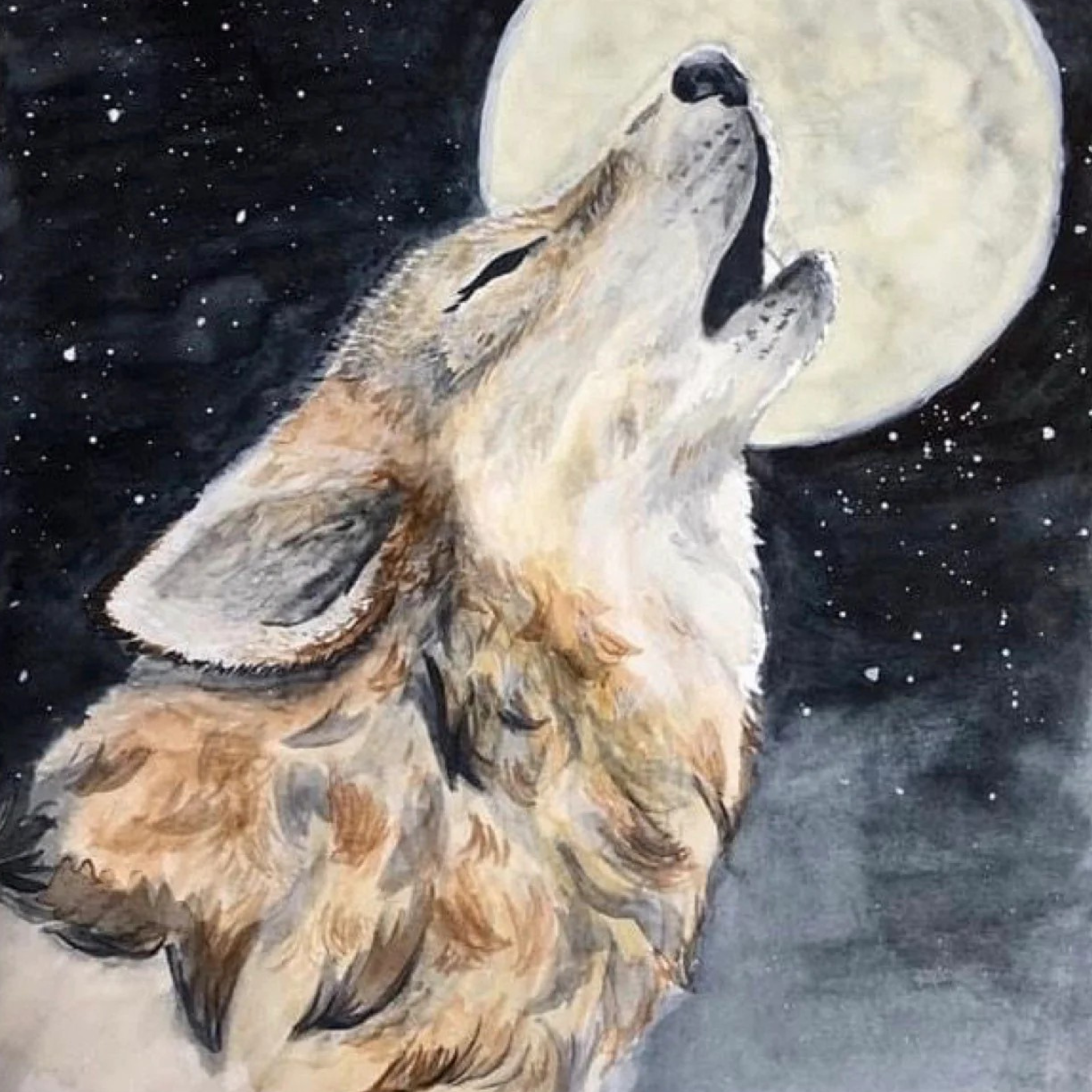 collection médecine du loup