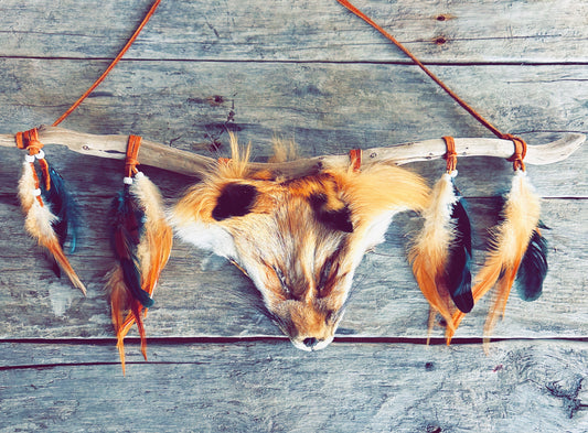Symbole du renard dans la culture autochtone
