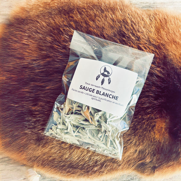 Sauge blanche purification naturelle plante traditionnelle