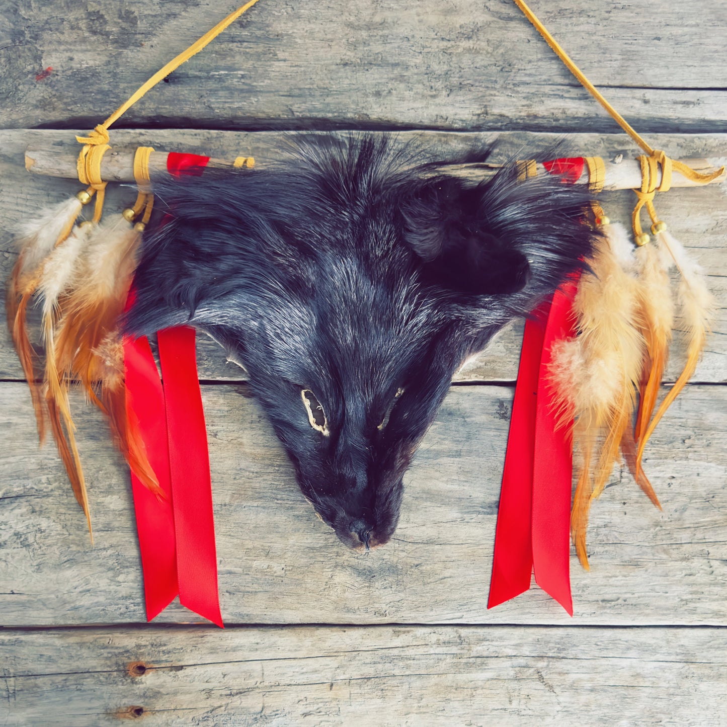 Art mural autochtone avec tête de renard réelle et plumes, fabrication authentique.