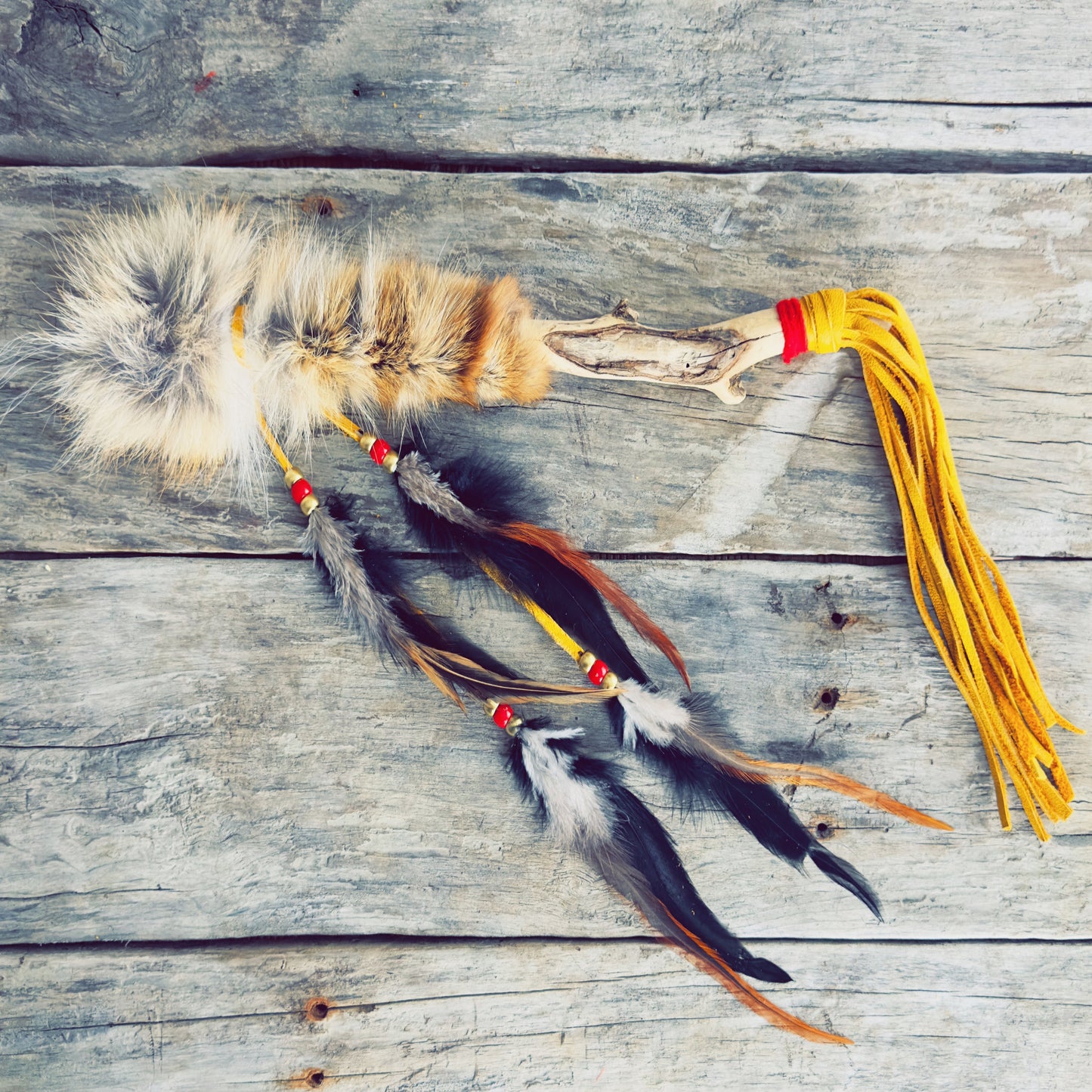 Bâtons de parole autochtones – modèle coyote