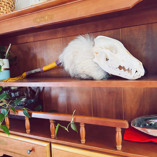 Bâton de parole culturel