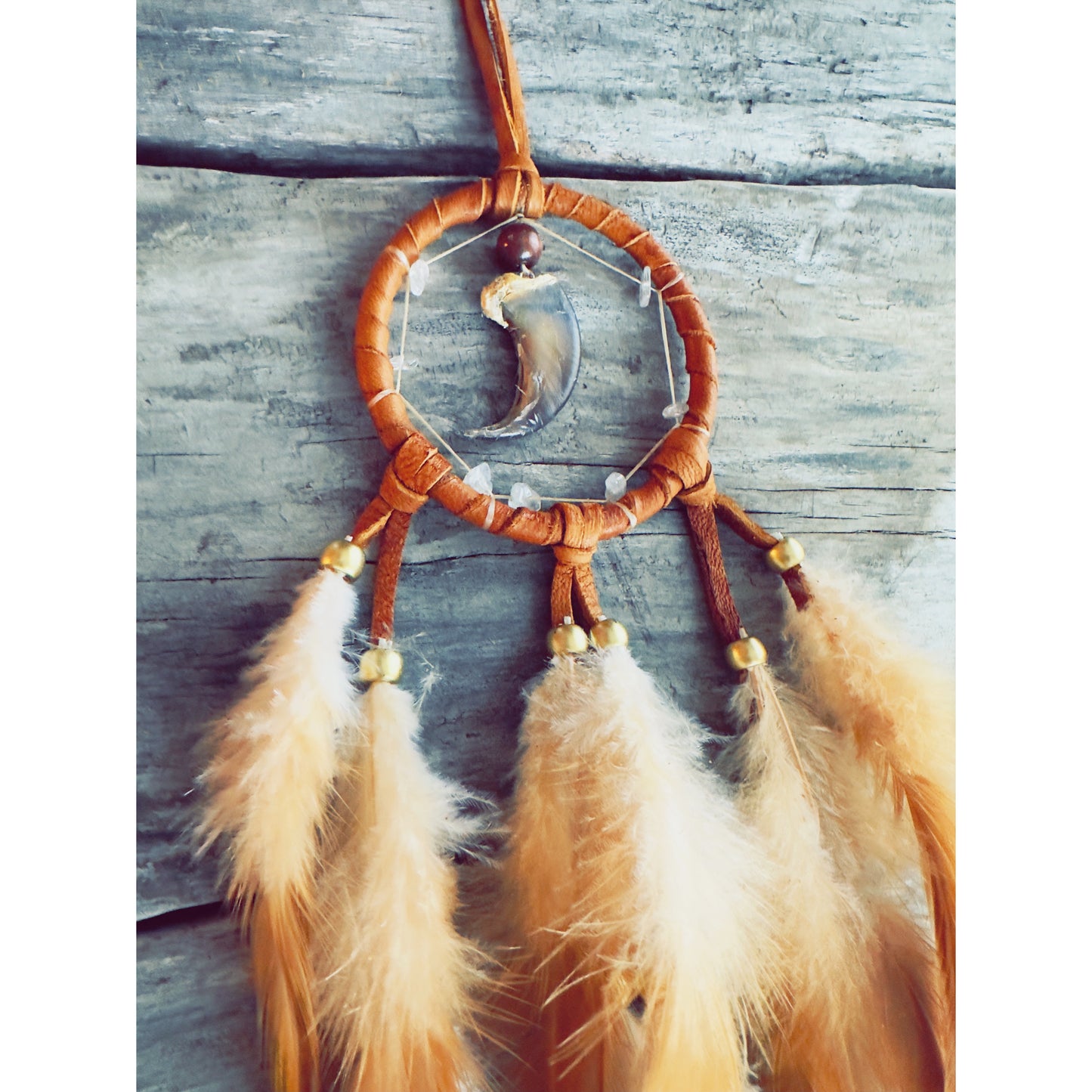 Dreamcatcher with authentic bear claw, brown feathers, Indigenous handmade art