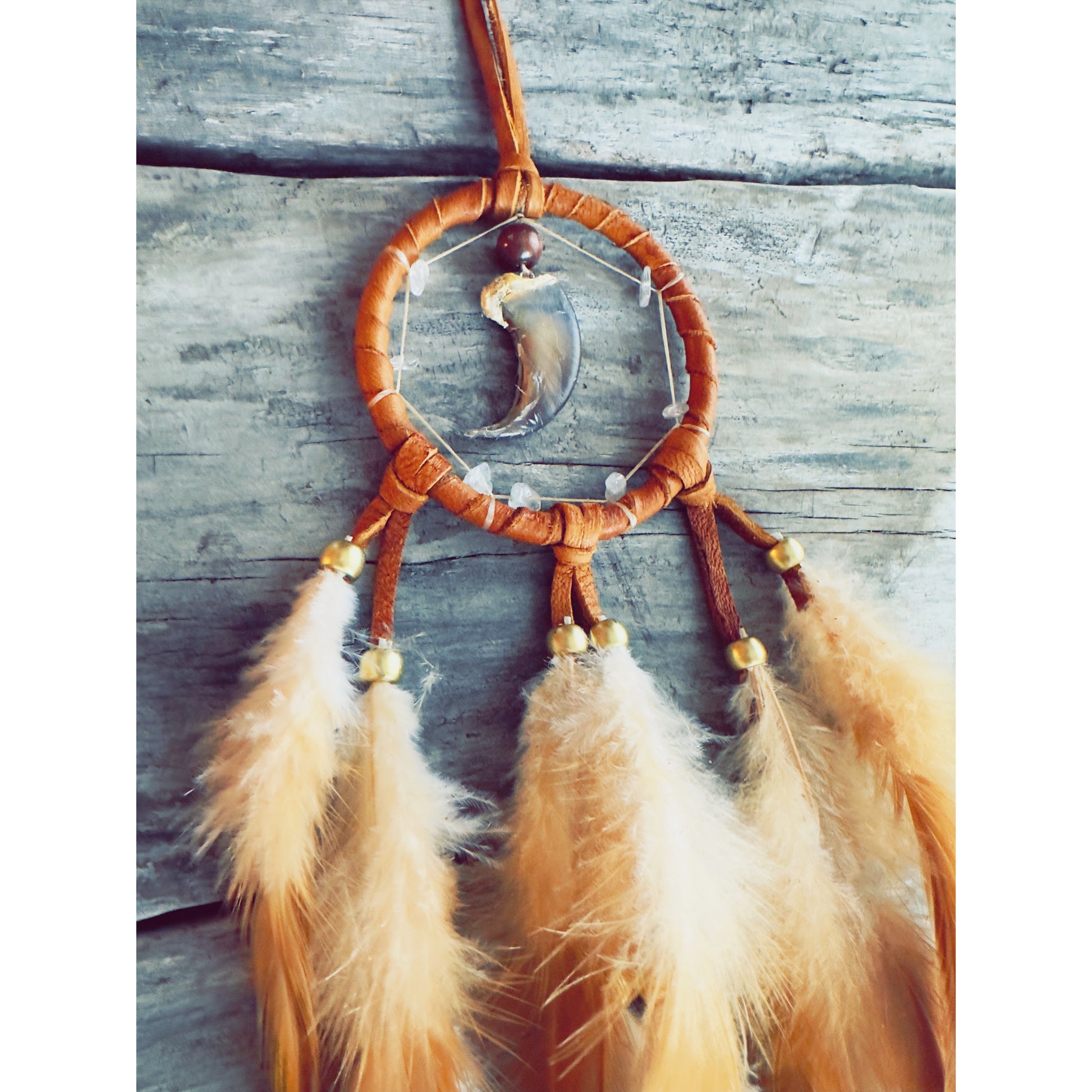 Dreamcatcher with authentic bear claw, brown feathers, Indigenous handmade art