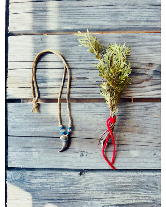 Collier en griffe d’ours veritable