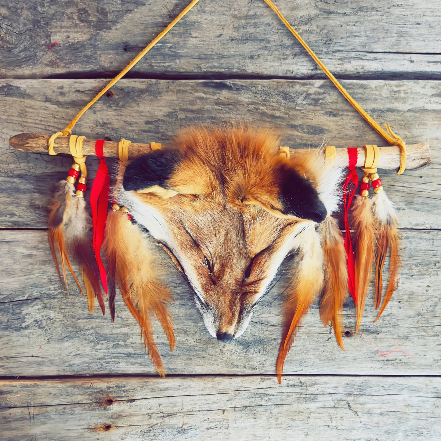 Œuvre murale autochtone avec véritable tête de renard et plumes naturelles, création artisanale.