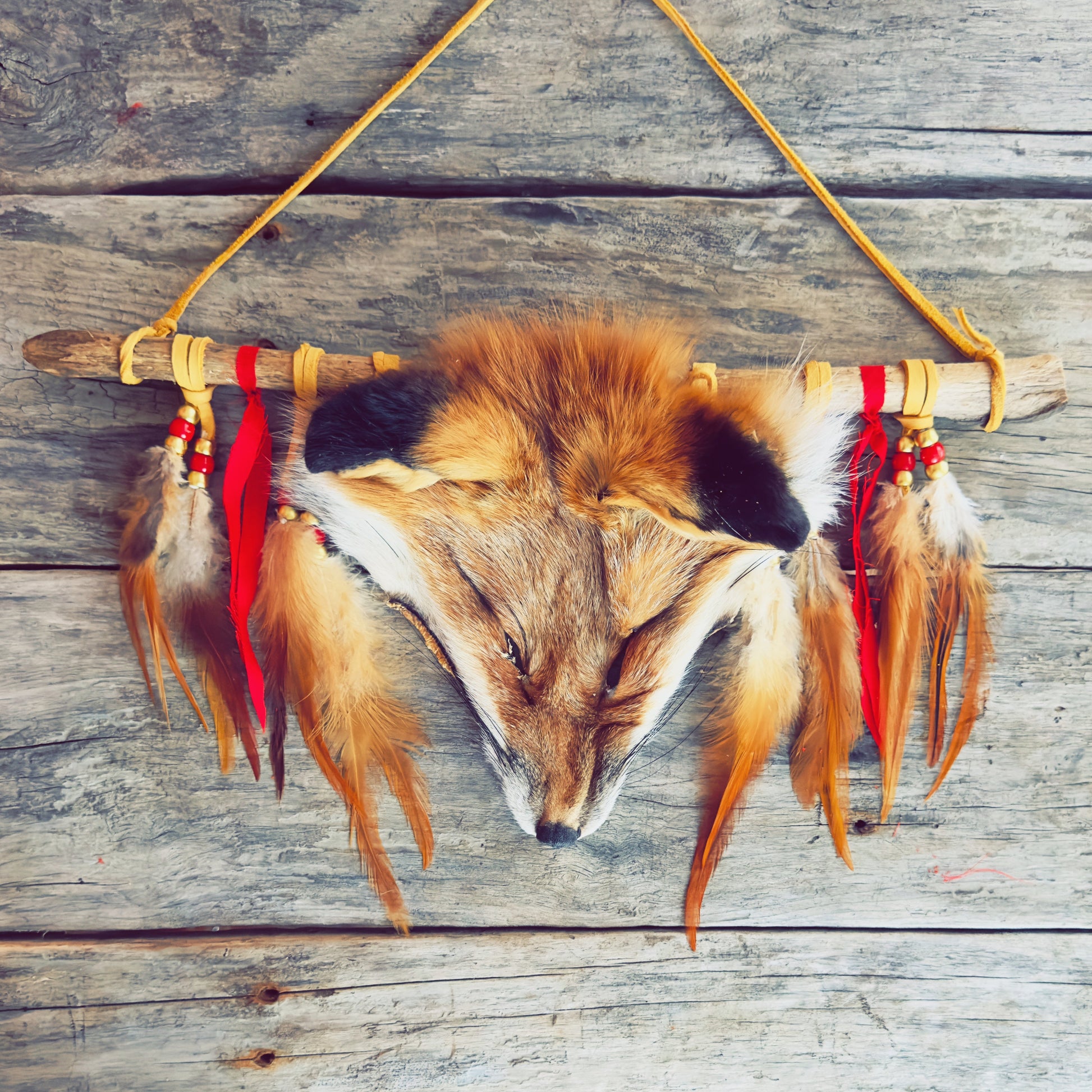 Œuvre murale autochtone avec véritable tête de renard et plumes naturelles, création artisanale.