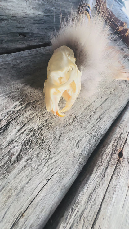 Totem-Sprechstab – Der Geist der Bisamratte, ein außergewöhnliches Werk