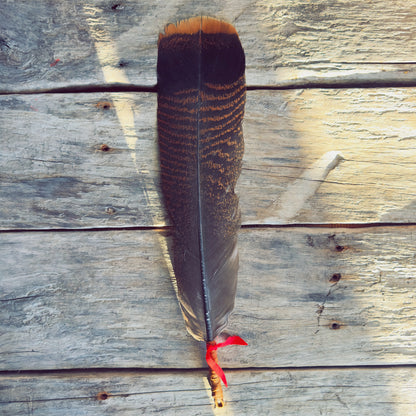 Handcrafted Indigenous smudge fan made with natural feathers